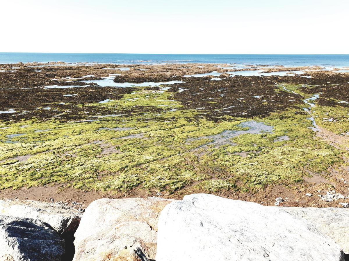 Le Temps D'Une Pause Brétignolles-sur-Mer Εξωτερικό φωτογραφία
